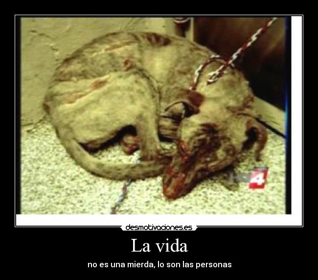 La vida - no es una mierda, lo son las personas