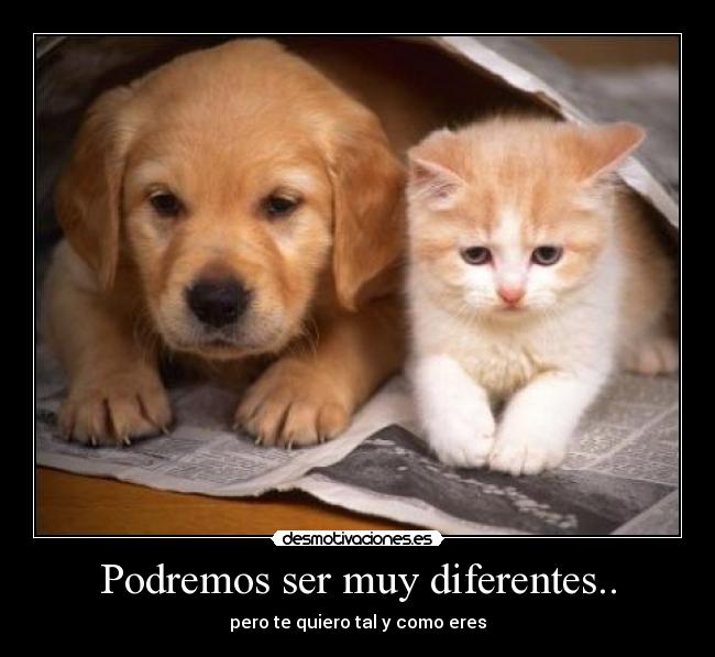 Podremos ser muy diferentes.. - pero te quiero tal y como eres