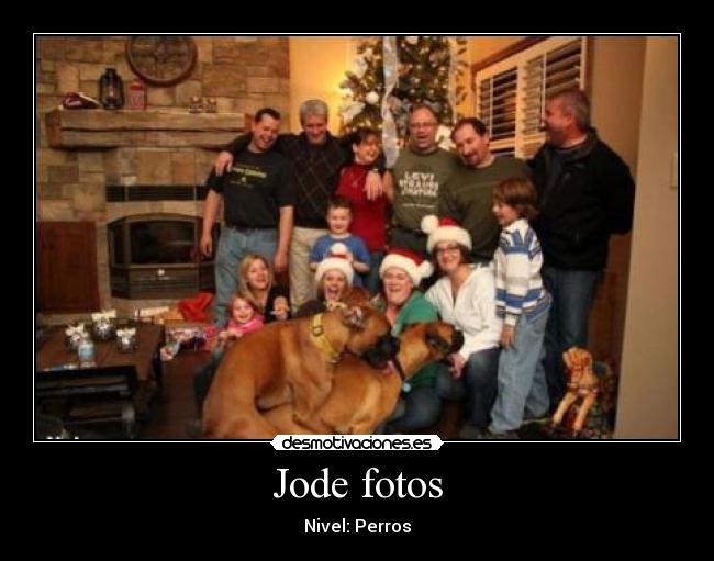 Jode fotos - Nivel: Perros