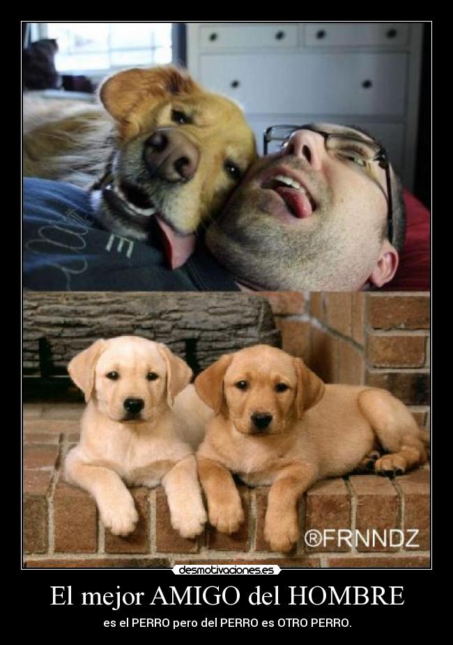 El mejor AMIGO del HOMBRE - es el PERRO pero del PERRO es OTRO PERRO.