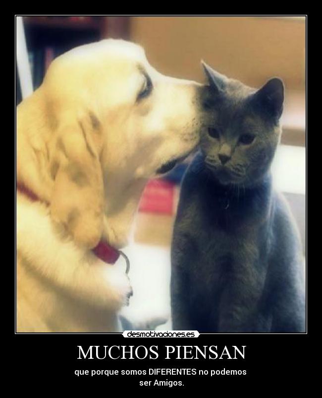 MUCHOS PIENSAN - 