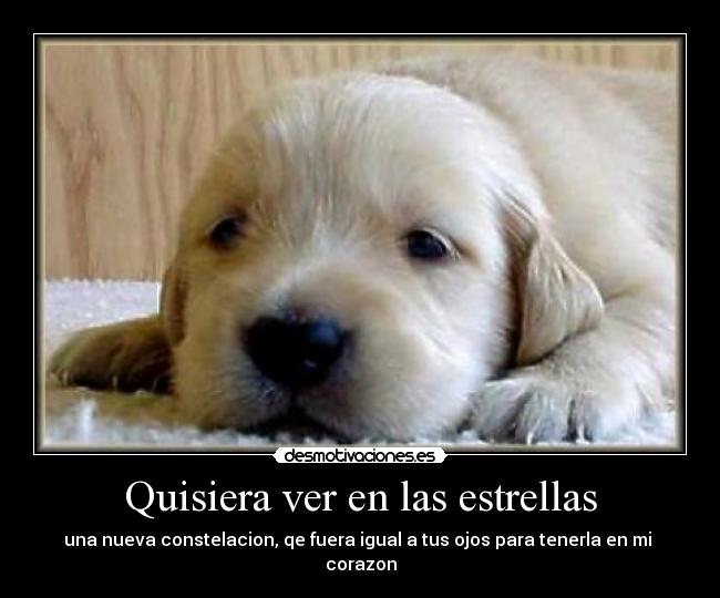 Quisiera ver en las estrellas -