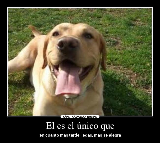 El es el único que -