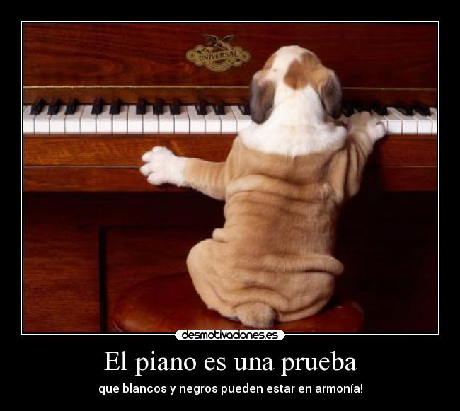 El piano es una prueba - que blancos y negros pueden estar en armonía!