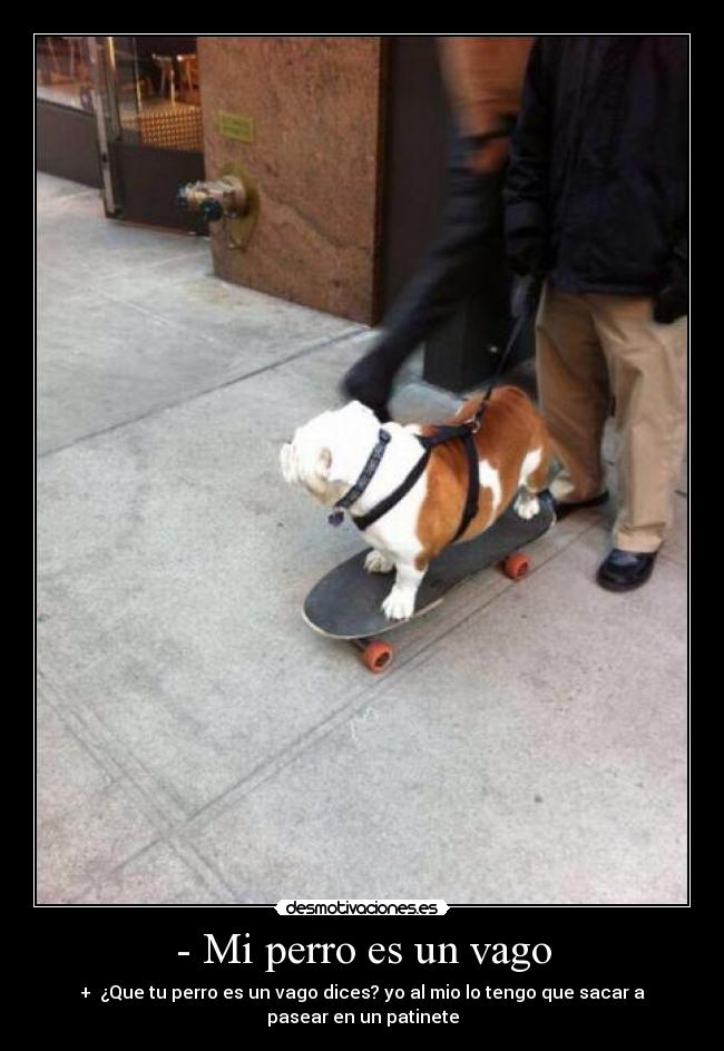 - Mi perro es un vago - + ¿Que tu perro es un vago dices? yo al mio lo tengo que sacar a
pasear en un patinete