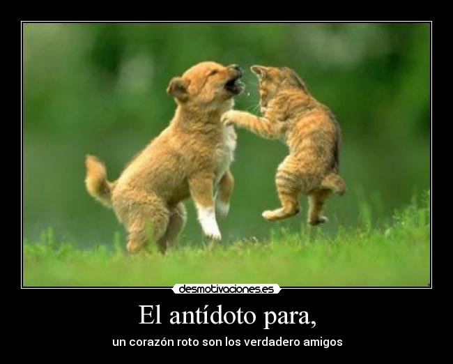 El antídoto para, - un corazón roto son los verdadero amigos