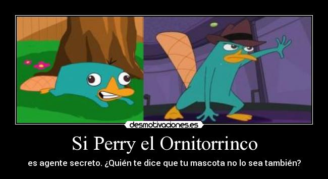 Si Perry el Ornitorrinco -