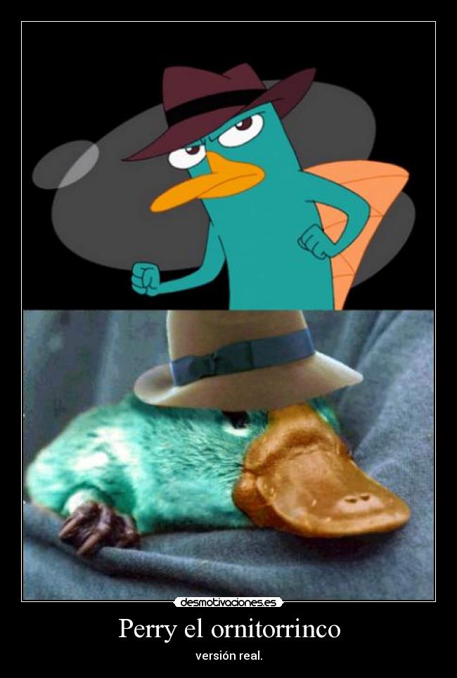 Perry el ornitorrinco -
