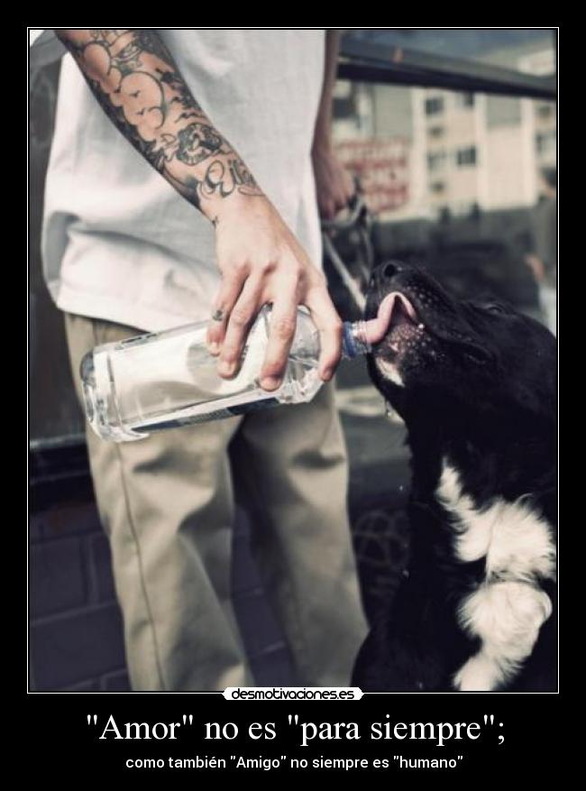 Amor no es para siempre; -