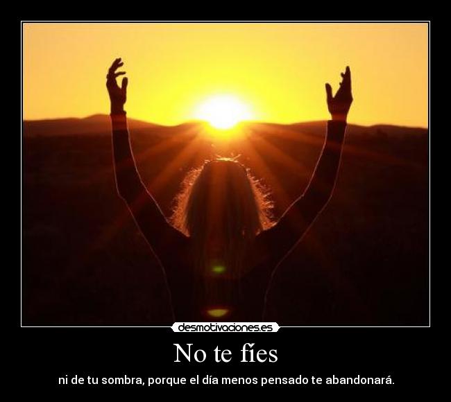 carteles onlyloveme desmotivaciones