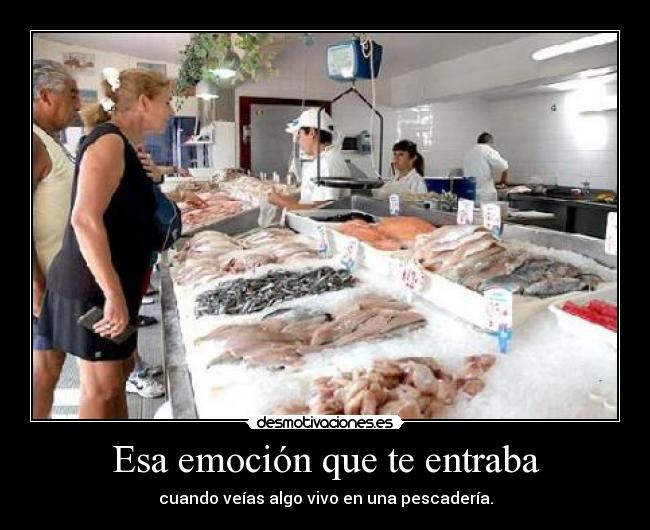 Esa emoción que te entraba - cuando veías algo vivo en una pescadería.