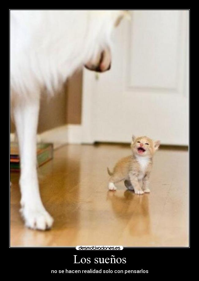 Los sueños - no se hacen realidad solo con pensarlos