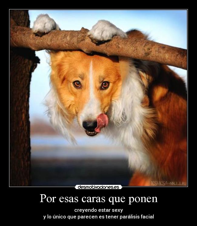 Por esas caras que ponen - creyendo estar sexy
y lo único que parecen es tener parálisis facial