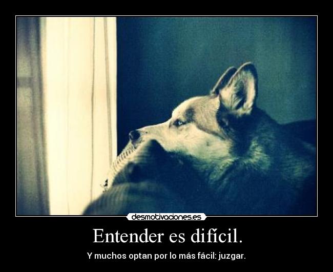 Entender es difícil. - 