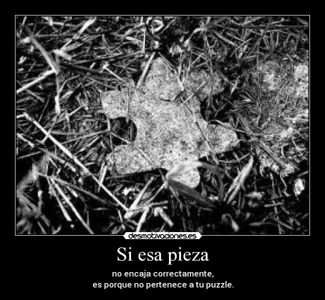 Si esa pieza - no encaja correctamente,
es porque no pertenece a tu puzzle.