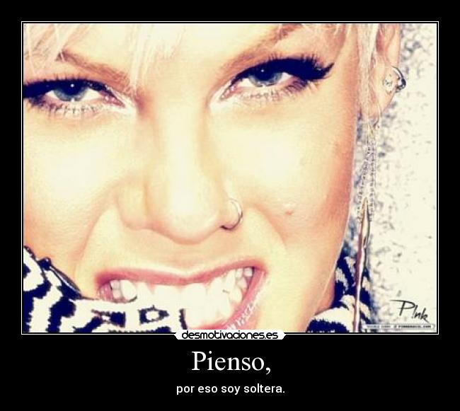 Pienso, - 