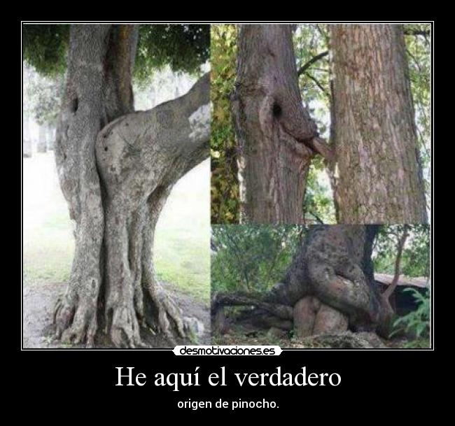 He aquí el verdadero - origen de pinocho.