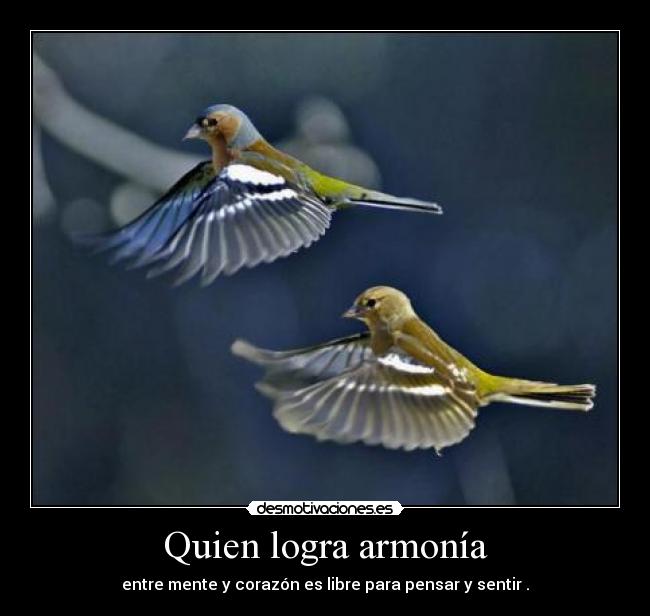 Quien logra armonía - entre mente y corazón es libre para pensar y sentir .
