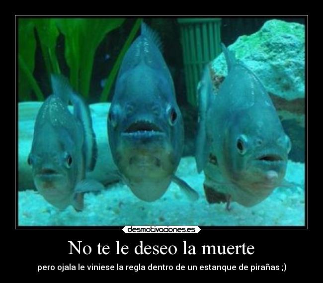 carteles muerte regla muerte sangre desmotivaciones