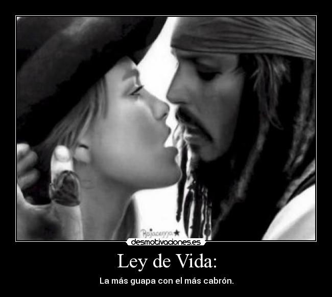 Ley de Vida: - 