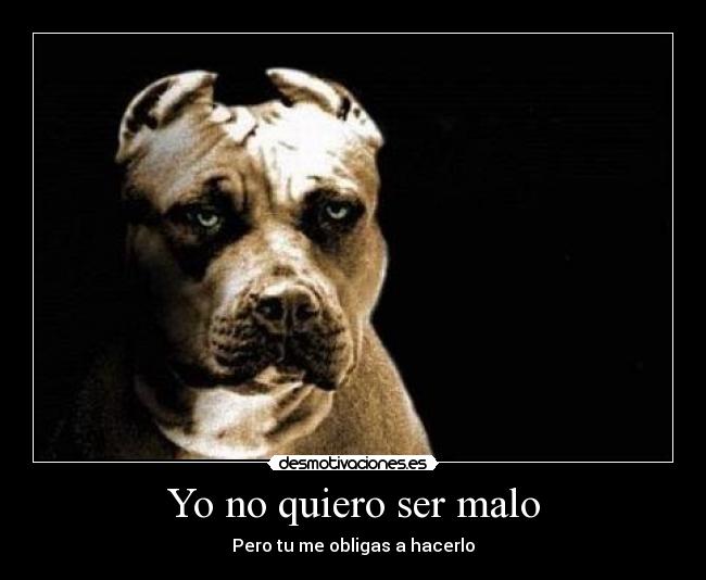Yo no quiero ser malo -