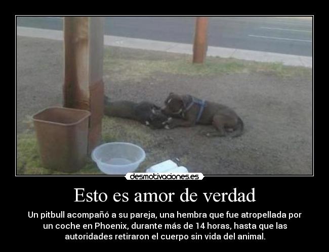 carteles amor berta desmotivaciones