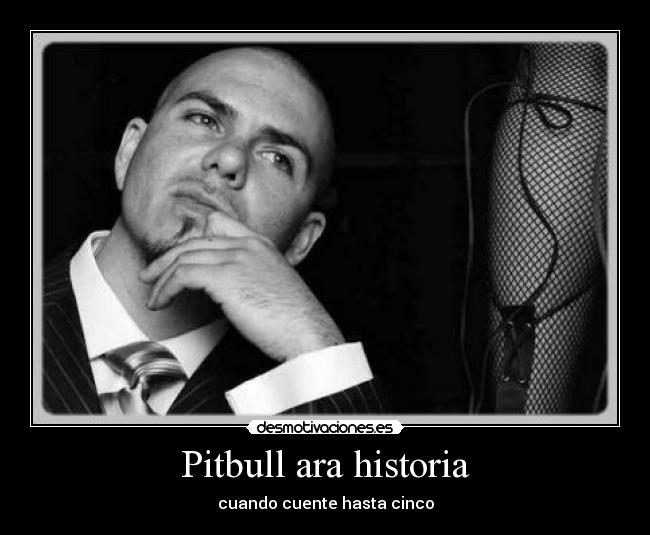 Pitbull ara historia -