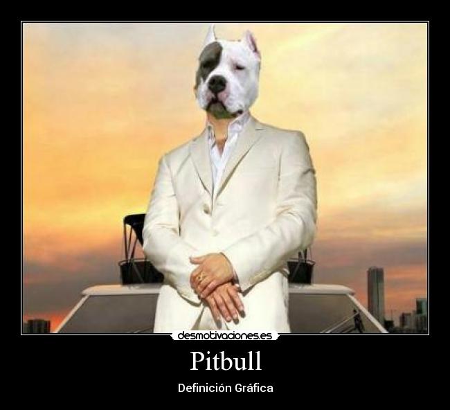 Pitbull -