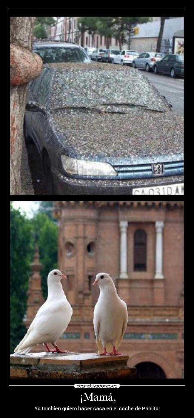 ¡Mamá, - Yo también quiero hacer caca en el coche de Pablito!