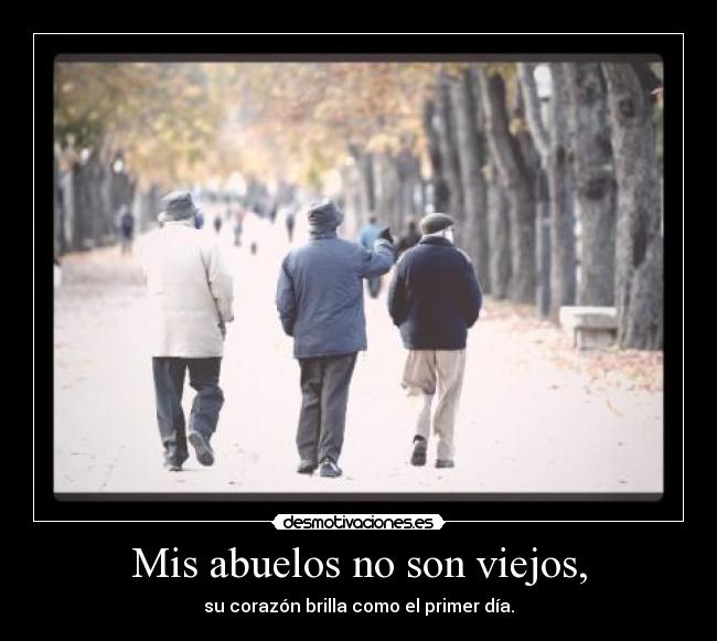 Mis abuelos no son viejos, - su corazón brilla como el primer día.
