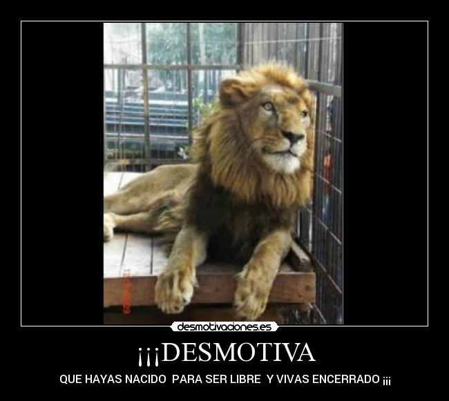 ¡¡¡DESMOTIVA - QUE HAYAS NACIDO  PARA SER LIBRE  Y VIVAS ENCERRADO ¡¡¡