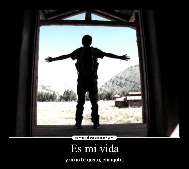 Es mi vida - 