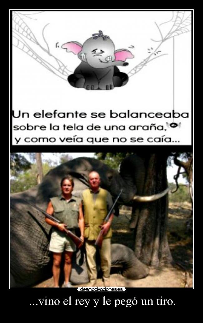 ...vino el rey y le pegó un tiro. - 