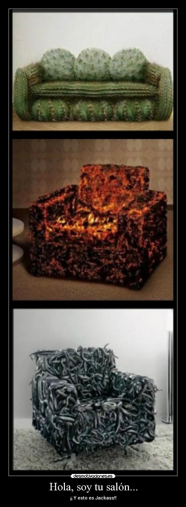 Hola, soy tu salón... - ¡¡ Y esto es Jackass!!