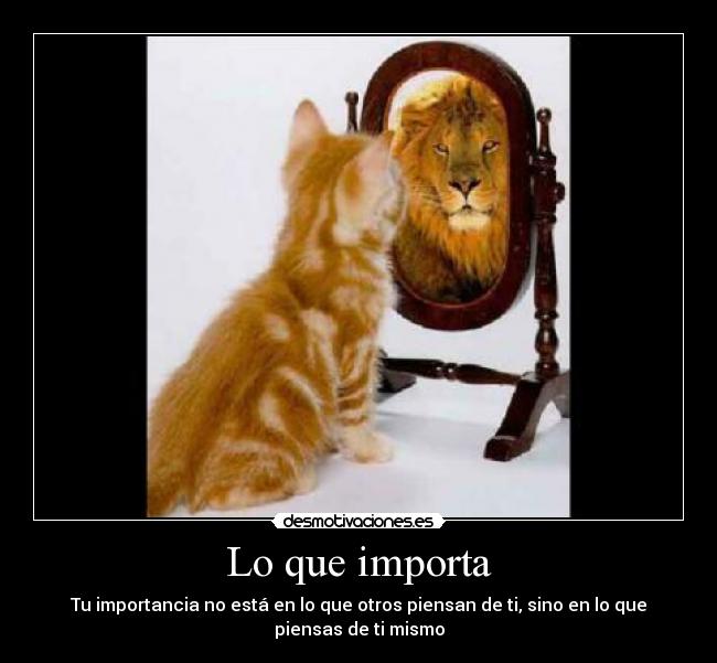 Lo que importa -