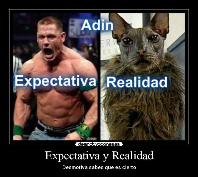 Expectativa y Realidad - Desmotiva sabes que es cierto