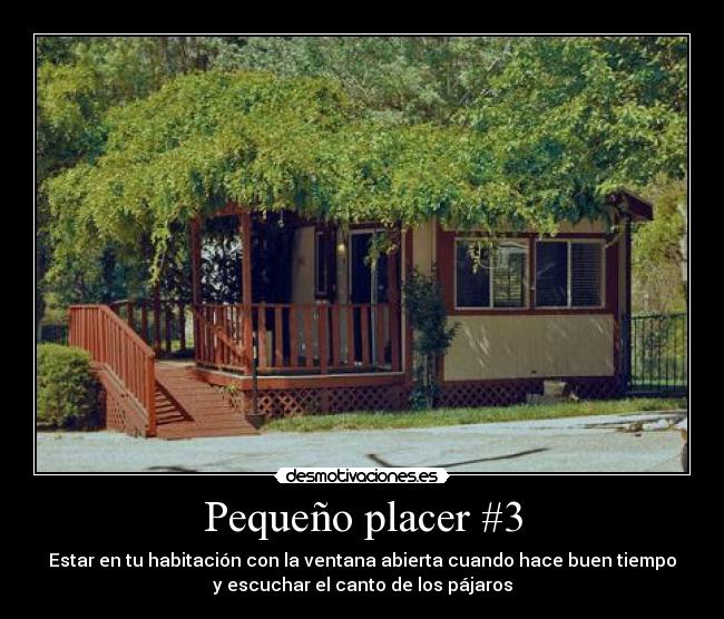 Pequeño placer #3 - Estar en tu habitación con la ventana abierta cuando hace buen tiempo
y escuchar el canto de los pájaros