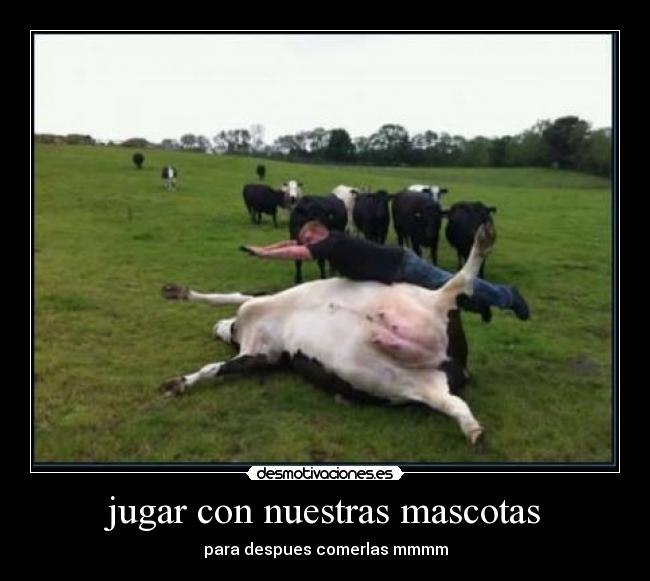 jugar con nuestras mascotas - para despues comerlas mmmm