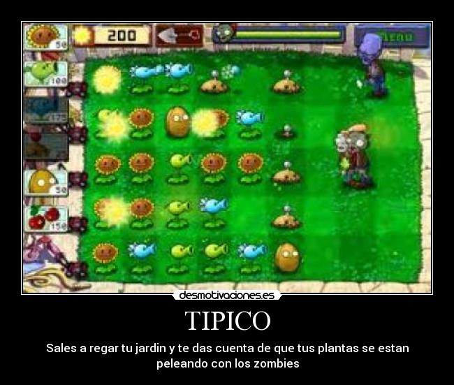 TIPICO -