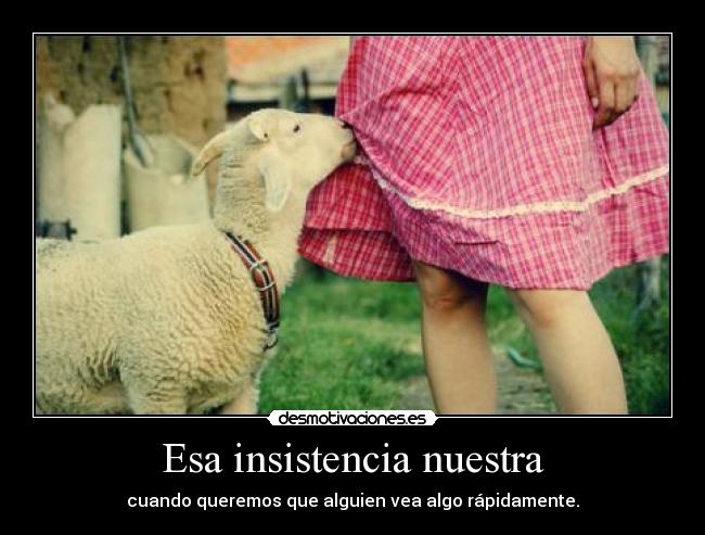 Esa insistencia nuestra - cuando queremos que alguien vea algo rápidamente.