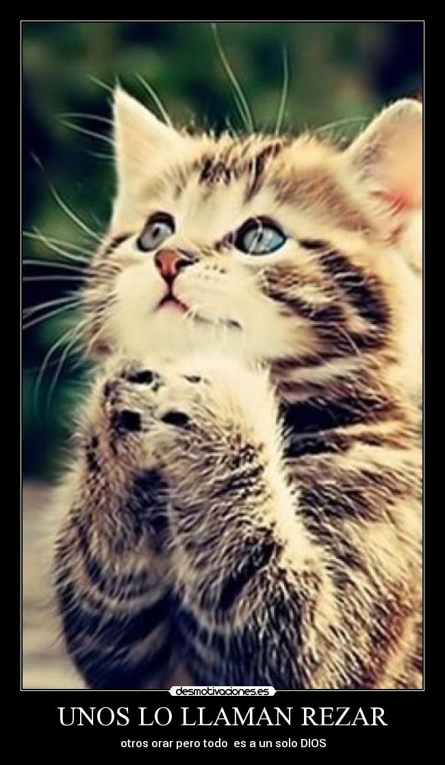 UNOS LO LLAMAN REZAR - 