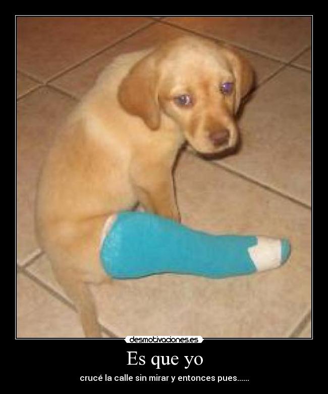Es que yo - crucé la calle sin mirar y entonces pues......