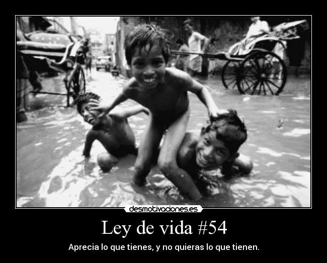 Ley de vida #54 -