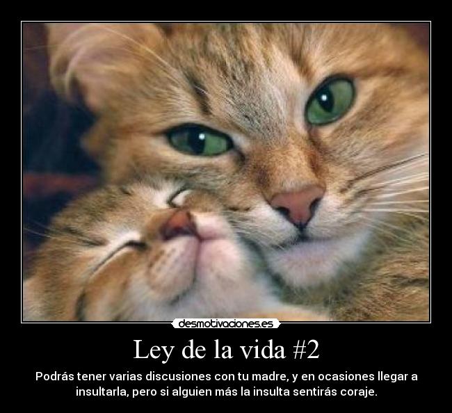 Ley de la vida #2 - 