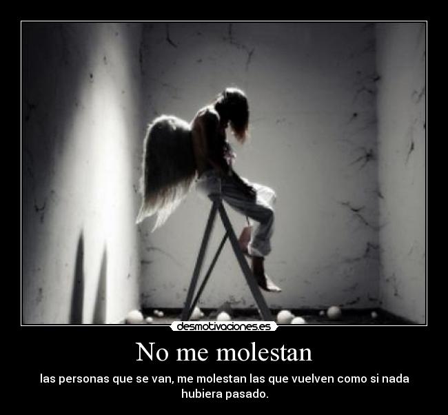 carteles kanarial desmotivaciones