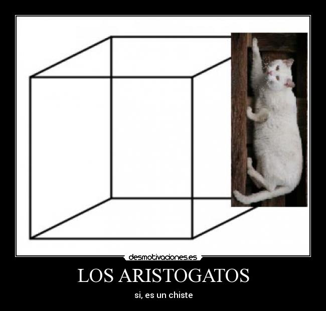 LOS ARISTOGATOS -