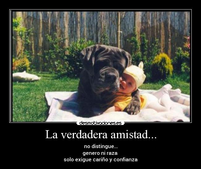 La verdadera amistad... - no distingue...
genero ni raza 
solo exigue cariño y confianza