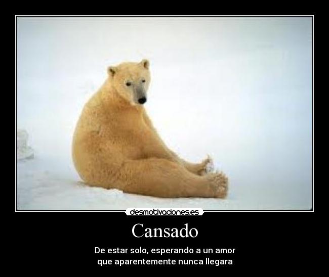 Cansado - De estar solo, esperando a un amor
que aparentemente nunca llegara