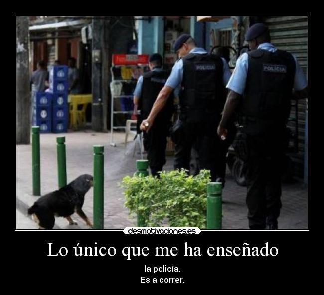 Lo único que me ha enseñado -