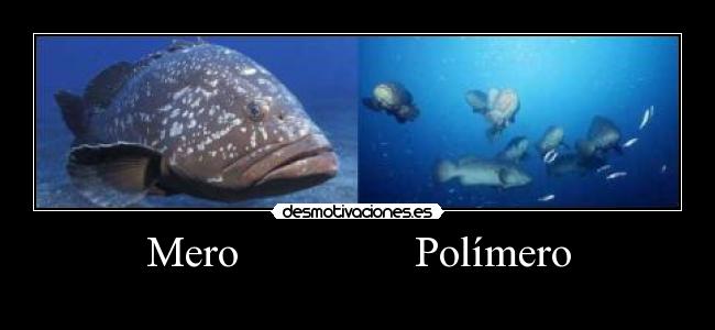 carteles una mierda chiste pero mio desmotivaciones